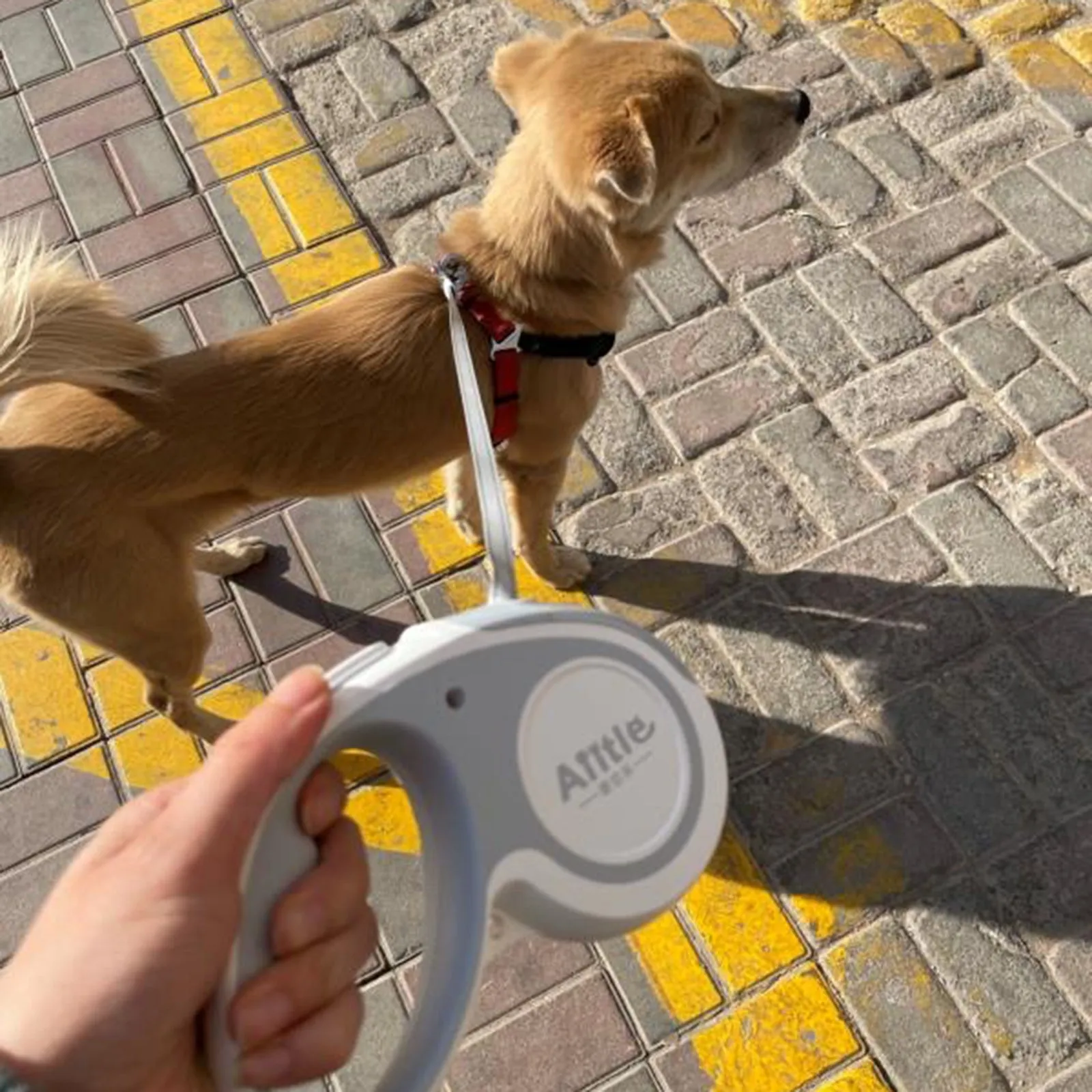 Aiitle Easy Lock Retractable Dog Leash Yellow