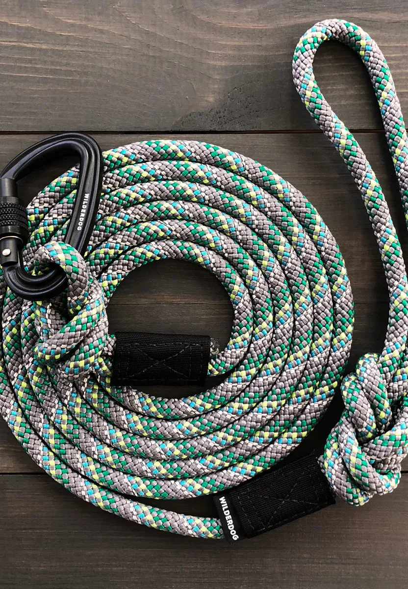 Alpine Reflective Dog Leash 5ft