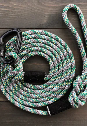 Alpine Reflective Dog Leash 5ft