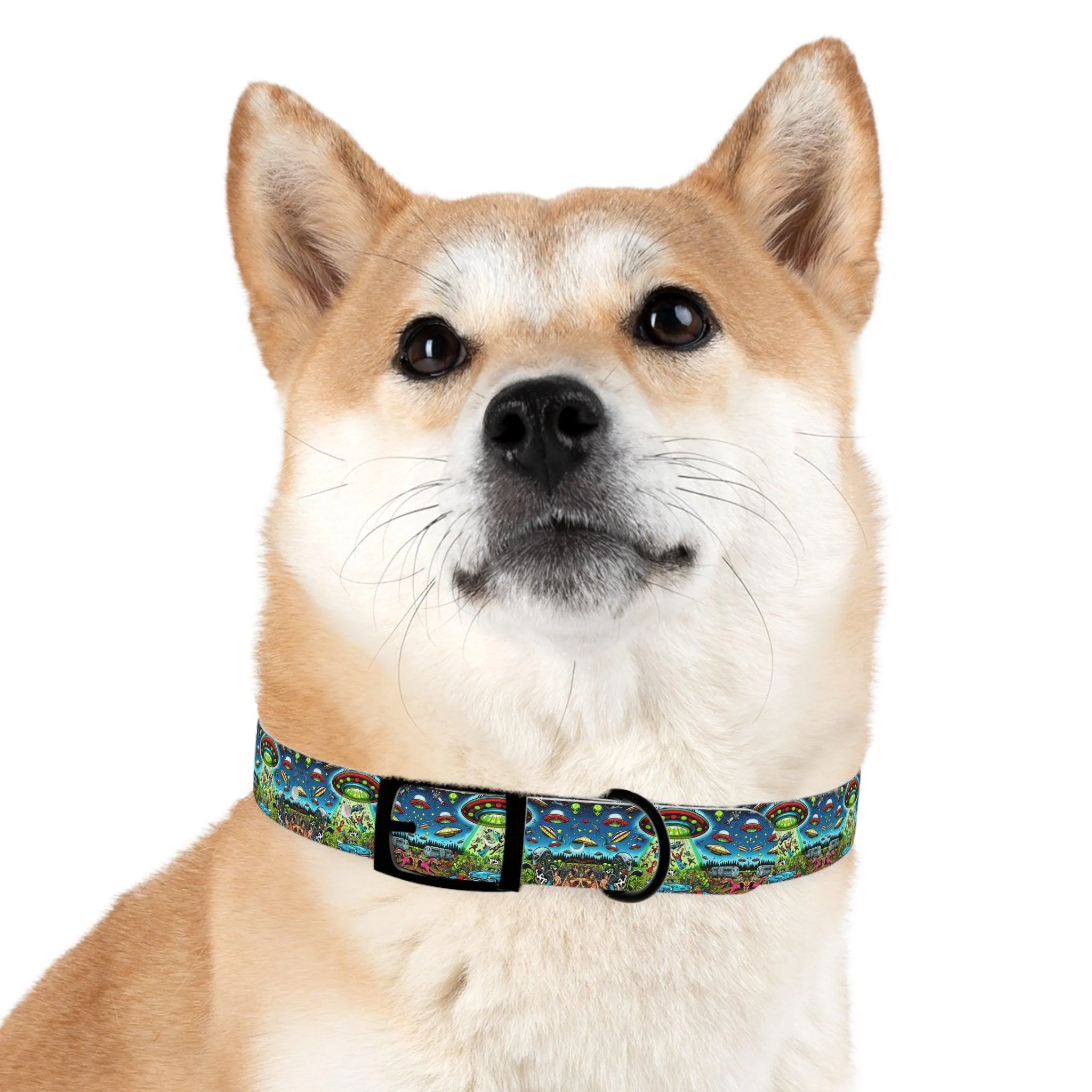 Beam Me Up, Bro! Dog Collar