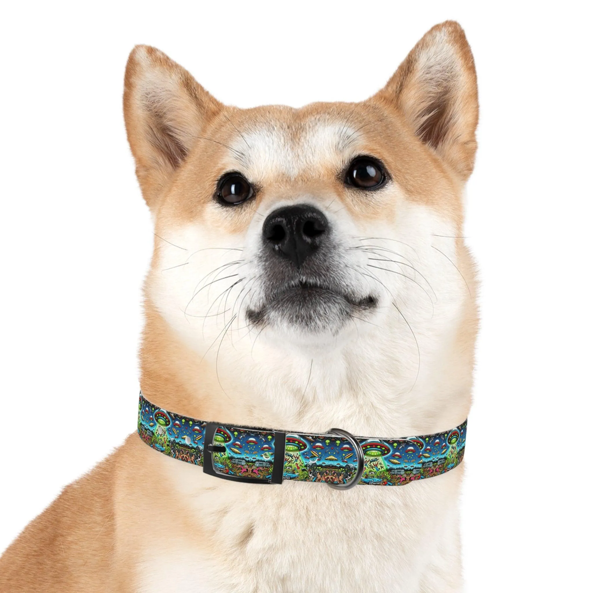 Beam Me Up, Bro! Dog Collar