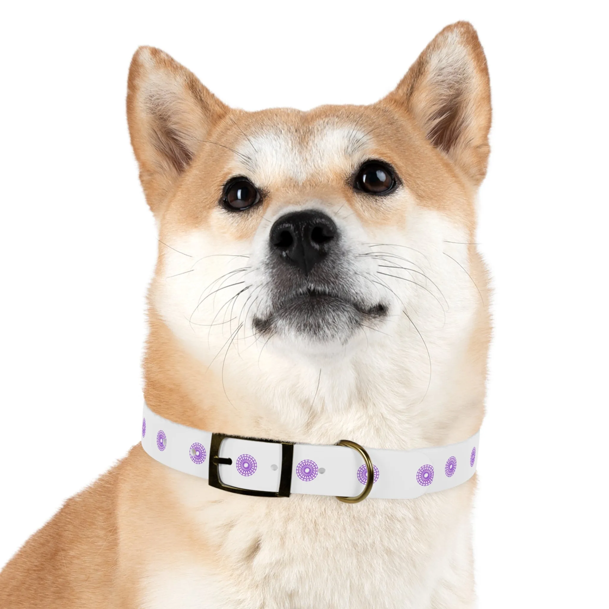 Born Mystics White and Purple Dog Collar