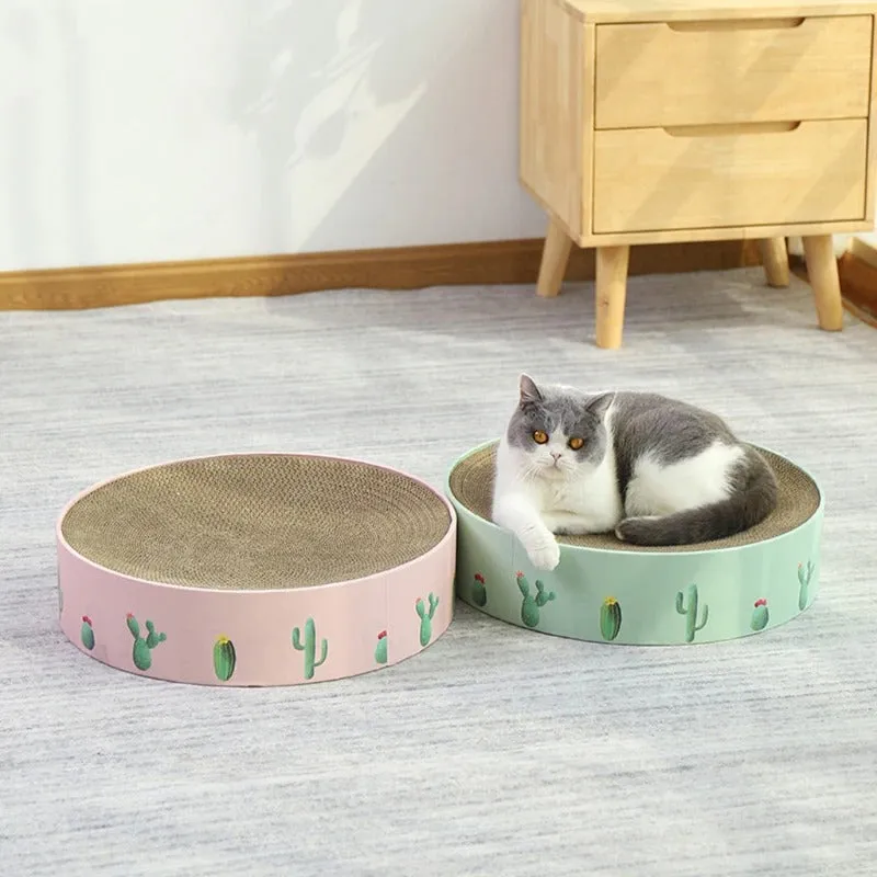 Cat Toy Scratch Board