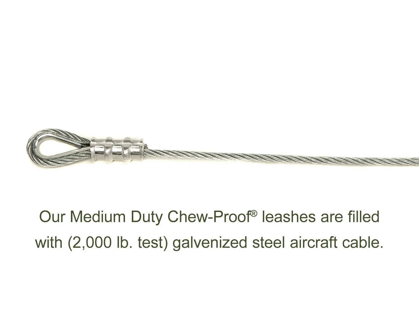 CHEW-PROOF® LEASH-MEDIUM DUTY