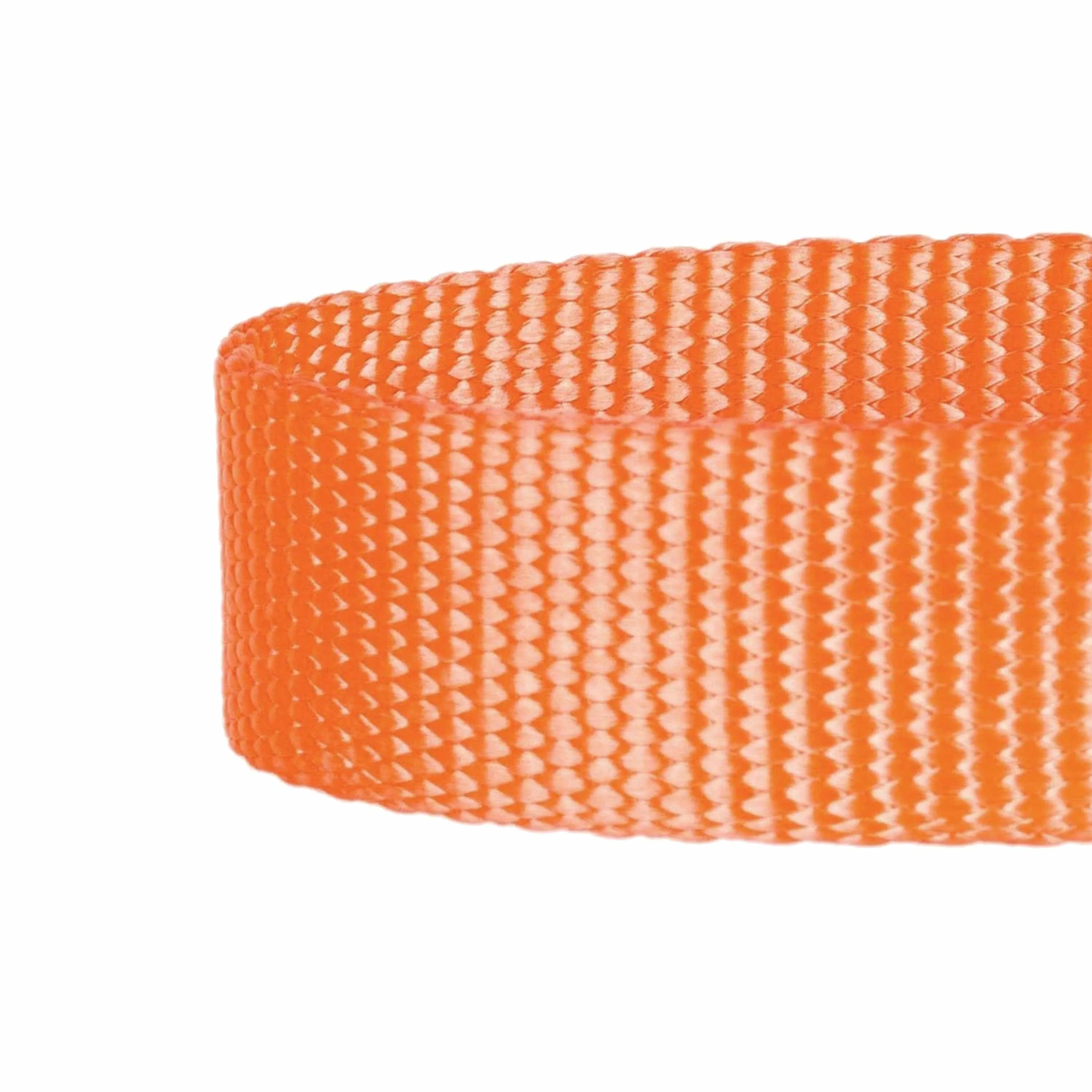 Classic Solid Color Adjustable Dog Collar, Yellow/Orange