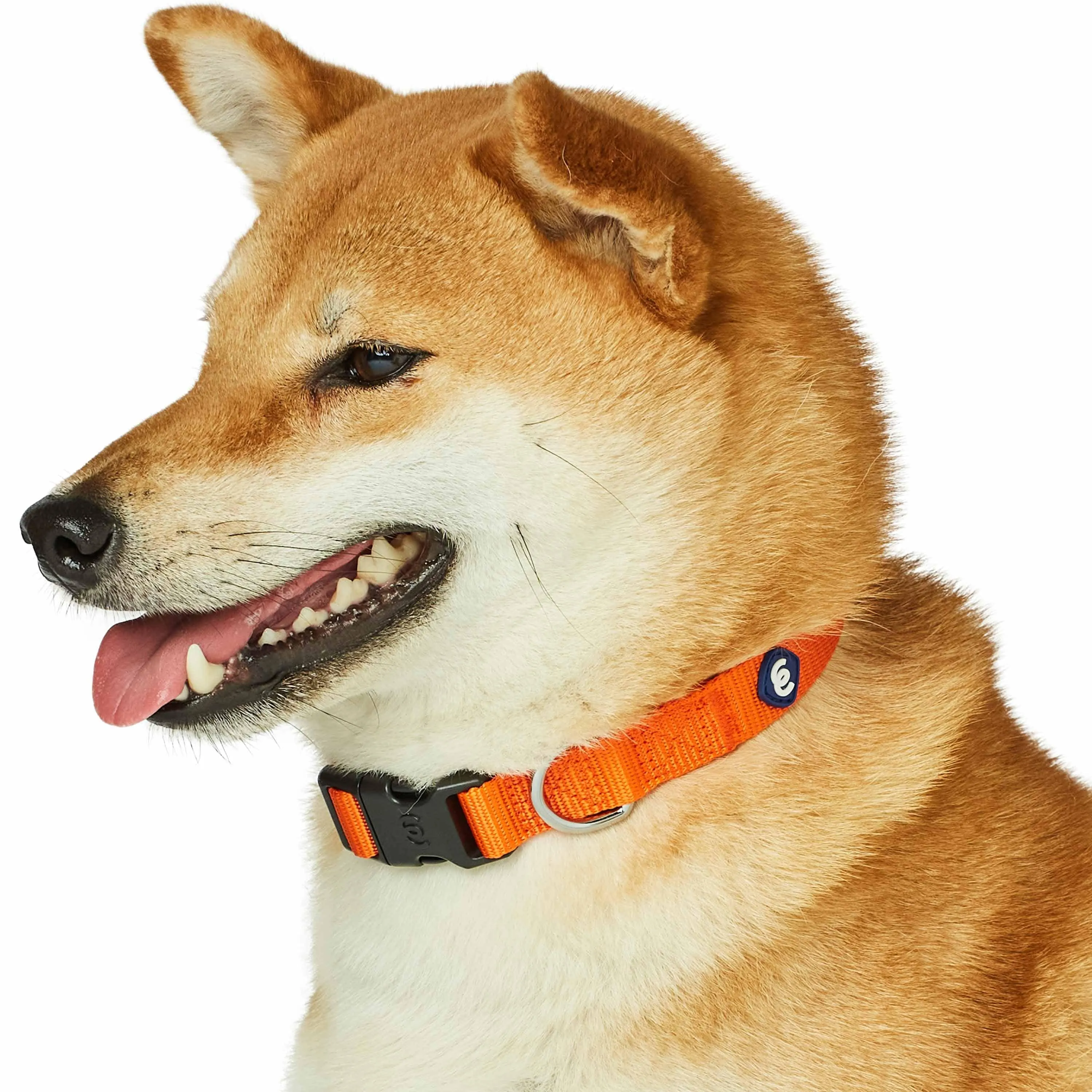Classic Solid Color Adjustable Dog Collar, Yellow/Orange