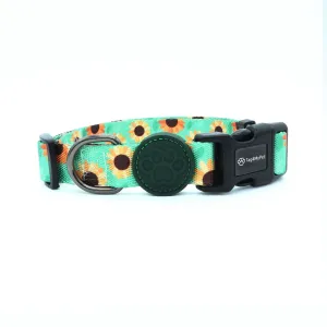Custom Dog Collars  - Sun Flower