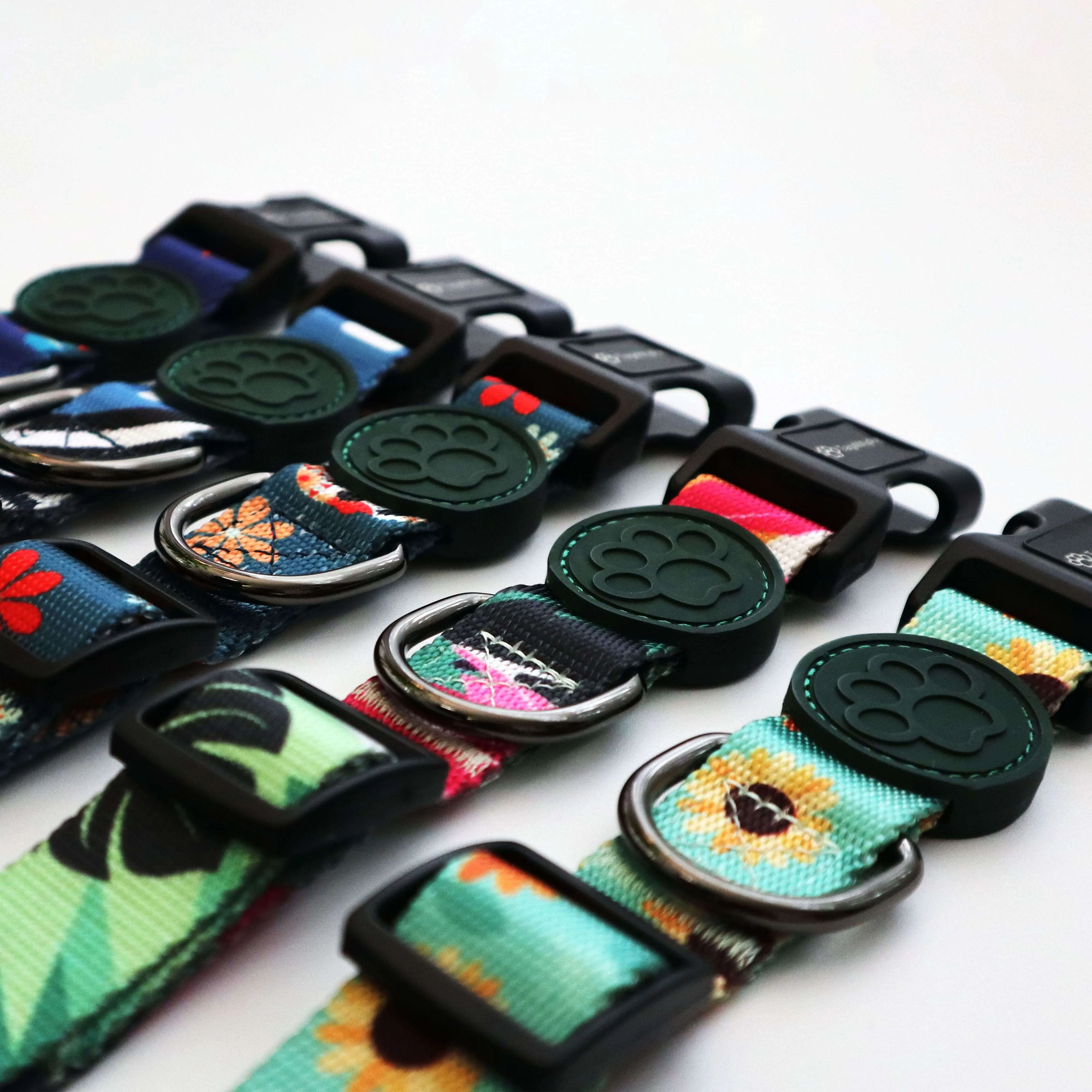 Custom Dog Collars  - Sun Flower