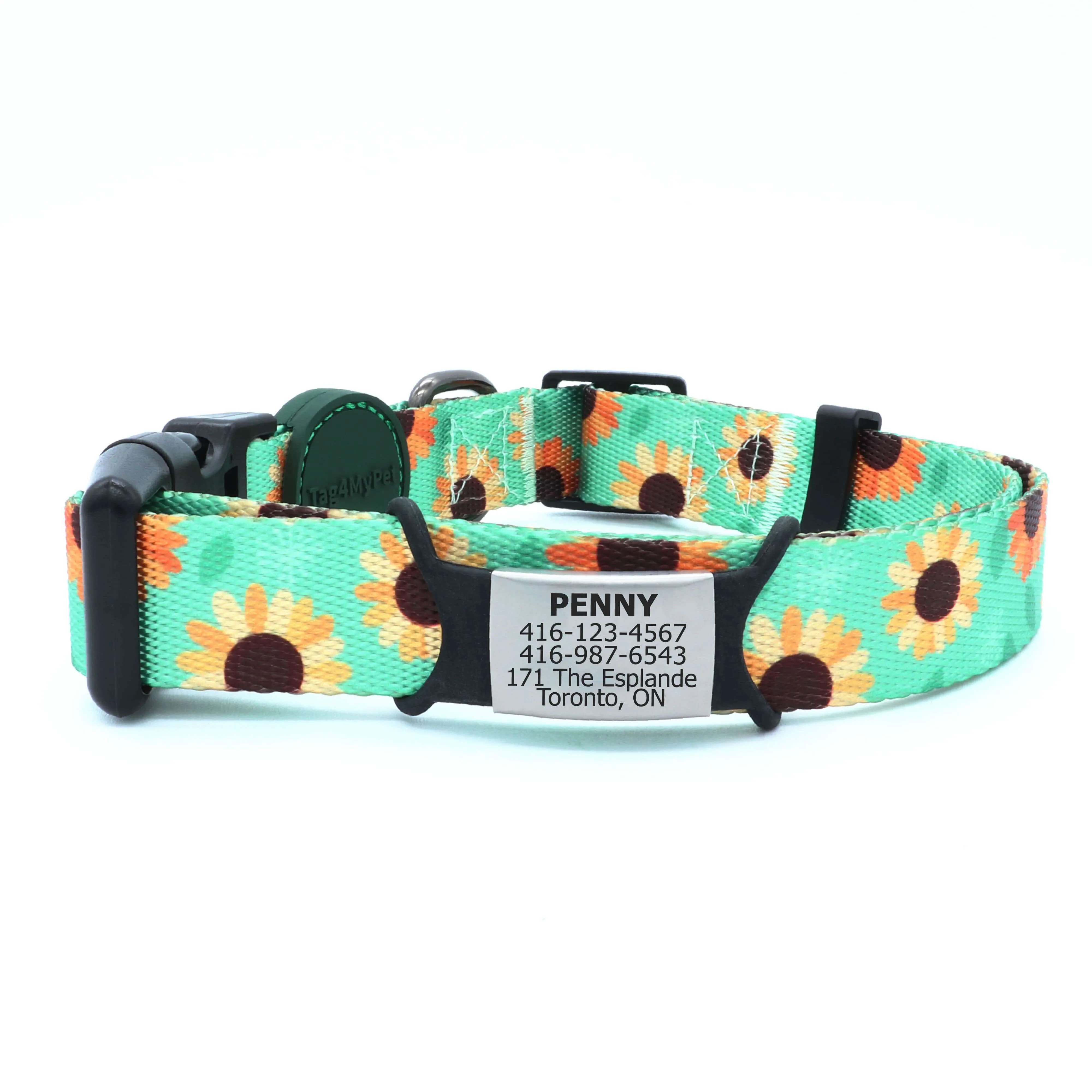 Custom Dog Collars  - Sun Flower