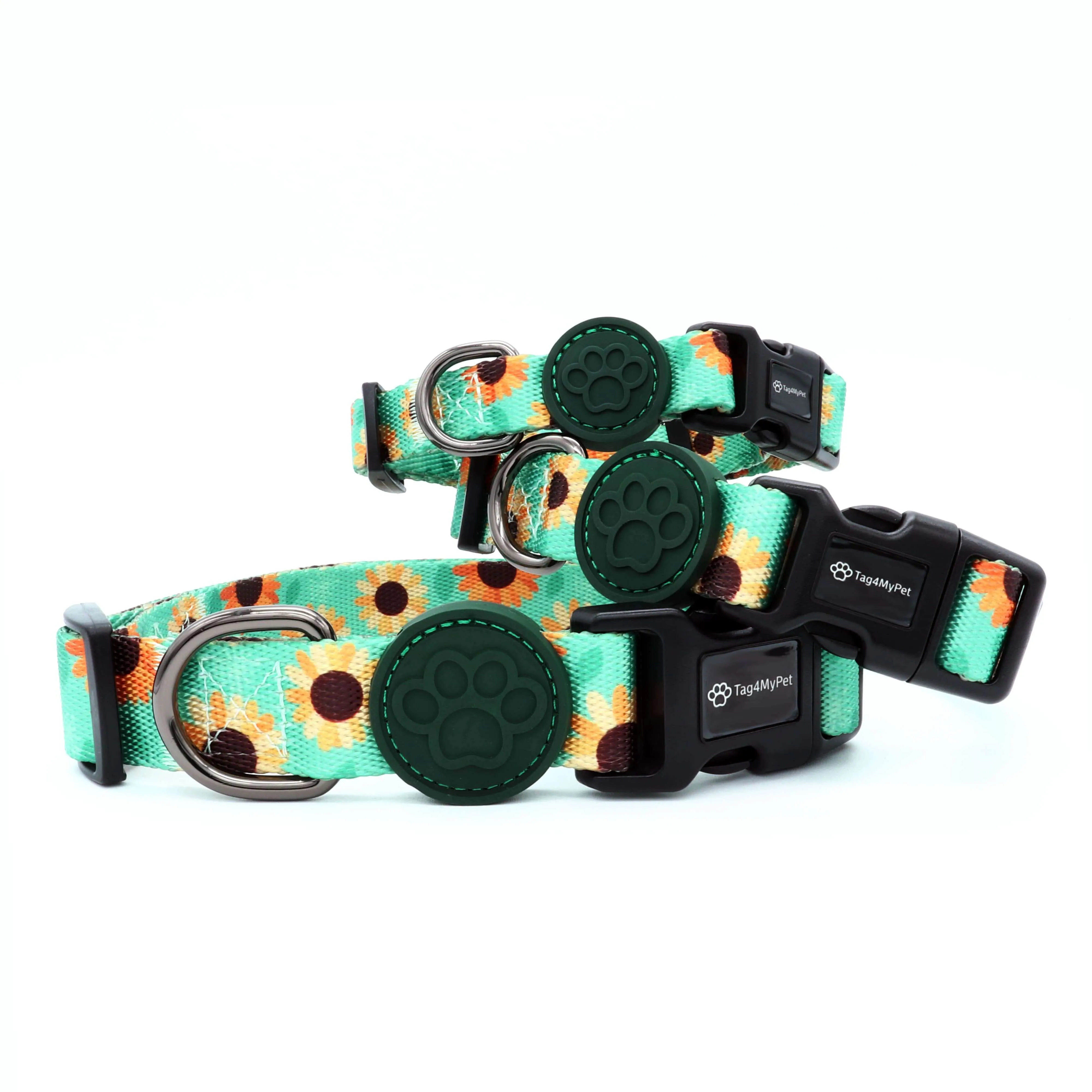Custom Dog Collars  - Sun Flower