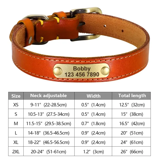 Custom Engraved Pet ID Tag Collars