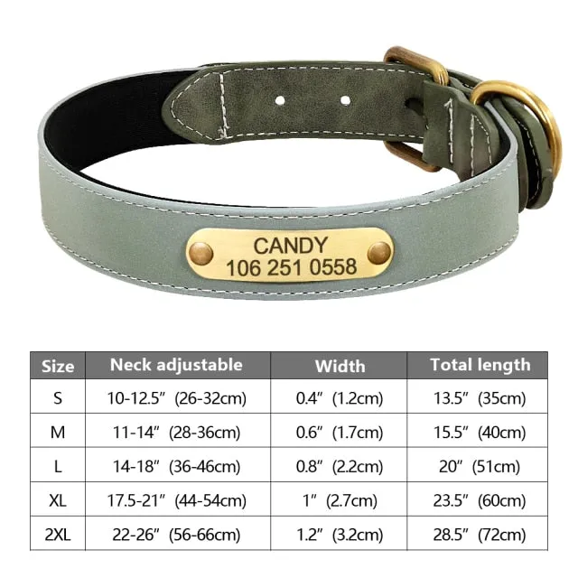 Custom Engraved Pet ID Tag Collars