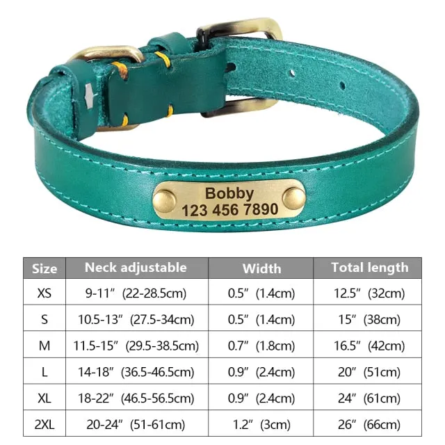 Custom Engraved Pet ID Tag Collars