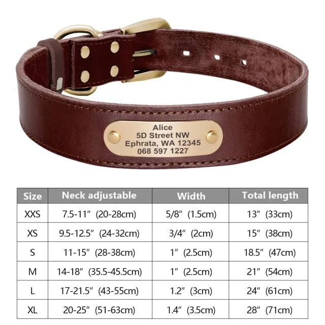 Custom Engraved Pet ID Tag Collars