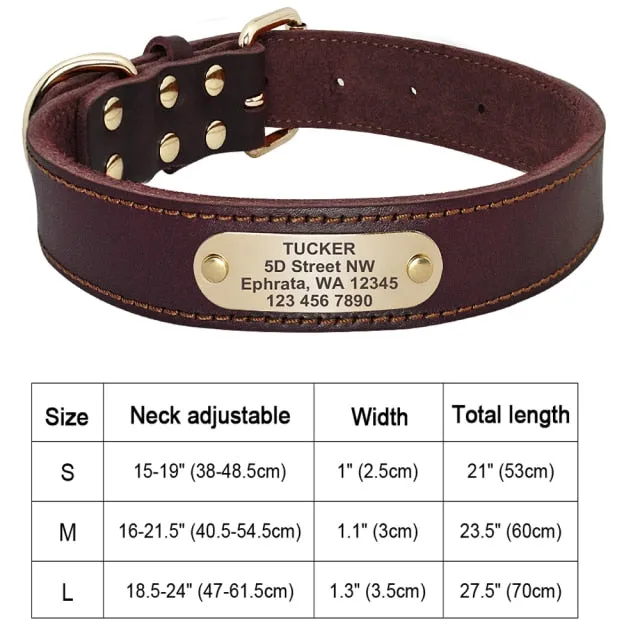 Custom Engraved Pet ID Tag Collars