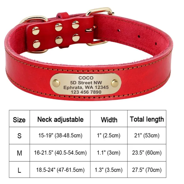 Custom Engraved Pet ID Tag Collars