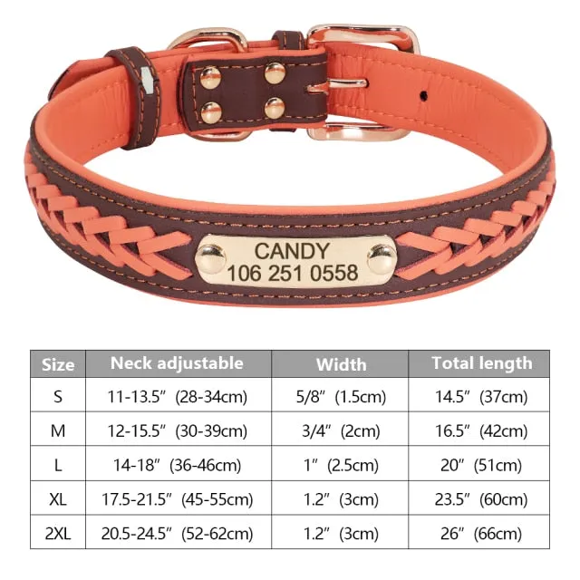 Custom Engraved Pet ID Tag Collars