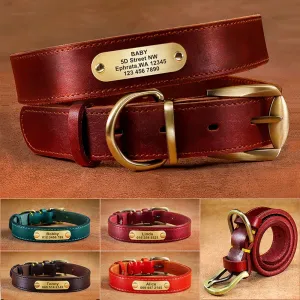 Custom Engraved Pet ID Tag Collars