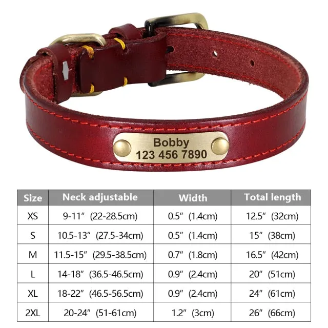 Custom Engraved Pet ID Tag Collars