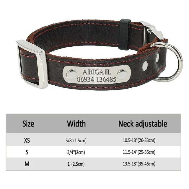Custom Engraved Pet ID Tag Collars