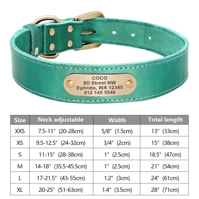 Custom Engraved Pet ID Tag Collars