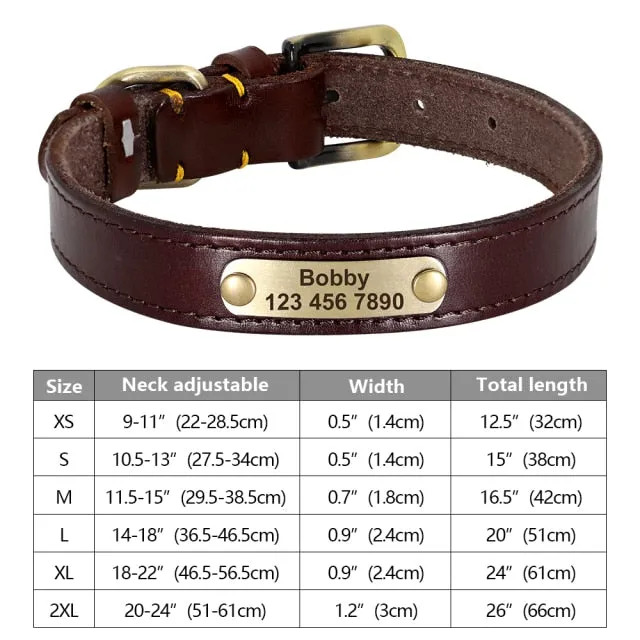 Custom Engraved Pet ID Tag Collars