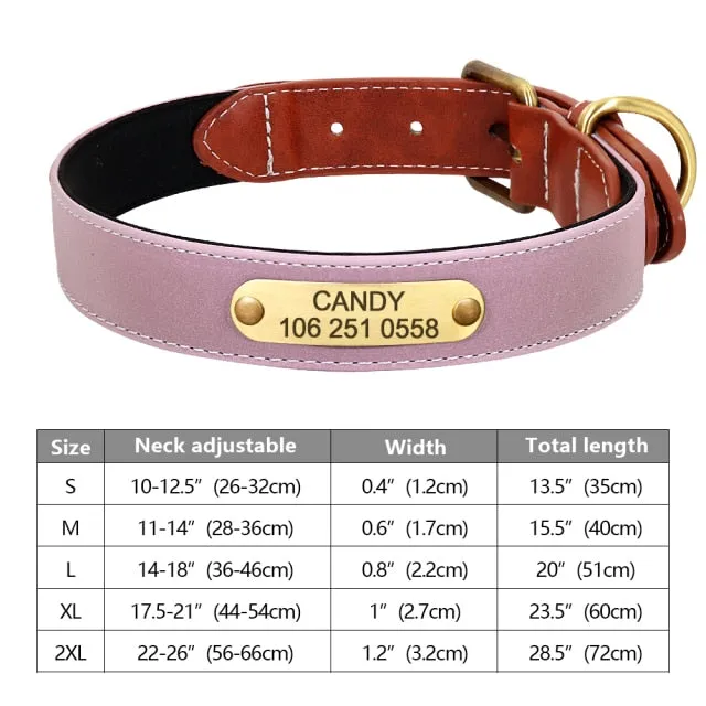 Custom Engraved Pet ID Tag Collars