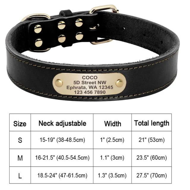 Custom Engraved Pet ID Tag Collars