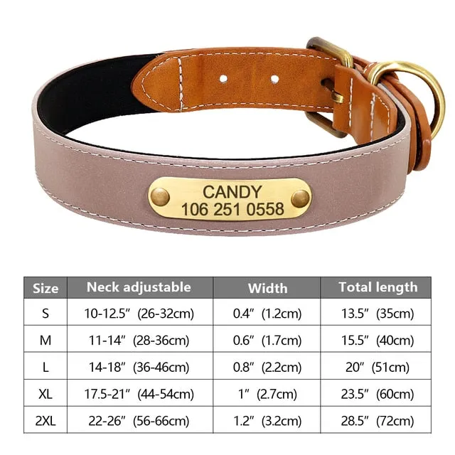 Custom Engraved Pet ID Tag Collars
