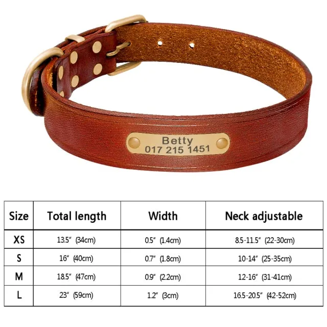Custom Engraved Pet ID Tag Collars