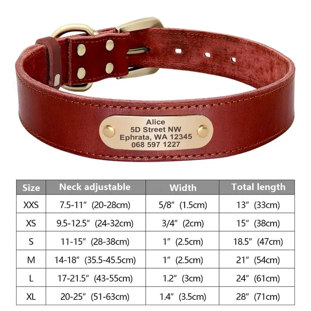 Custom Engraved Pet ID Tag Collars