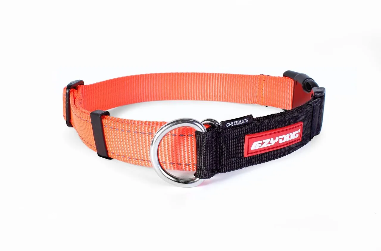 EzyDog Checkmate Dog Collar - Medium