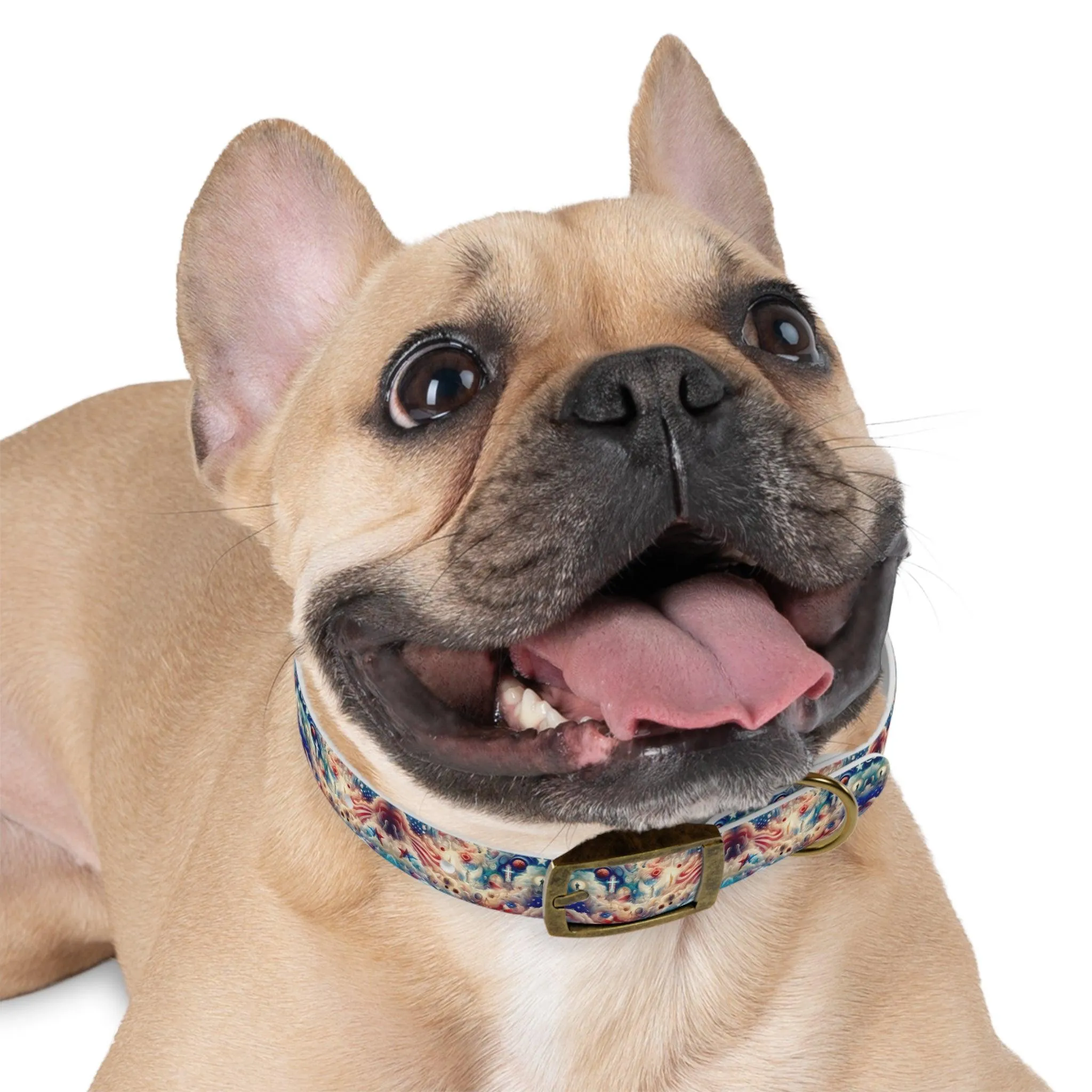 Faith and Finish Line Dog Collar