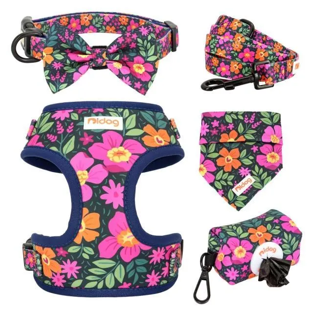 Fall Color Showers - SET | Personalized
