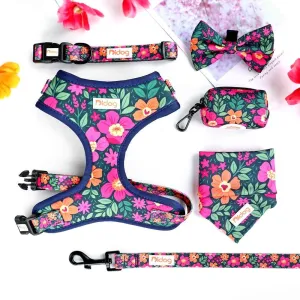 Fall Color Showers - SET | Personalized