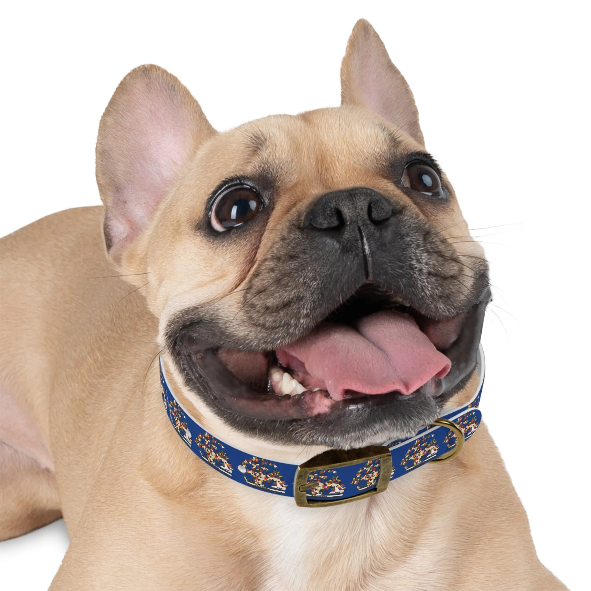 Gasparilla Dog Collar