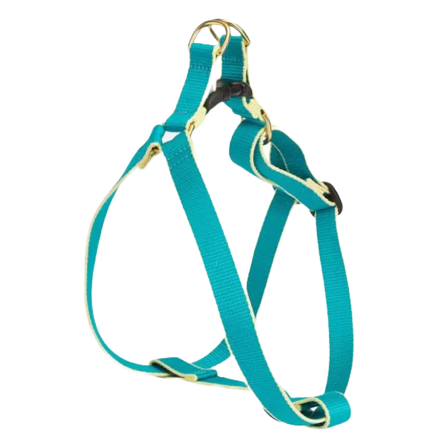 Harness | Teal & Yellow