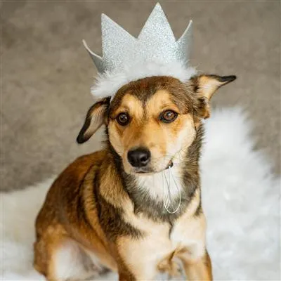 Huxley & Kent Glitter Party Crowns