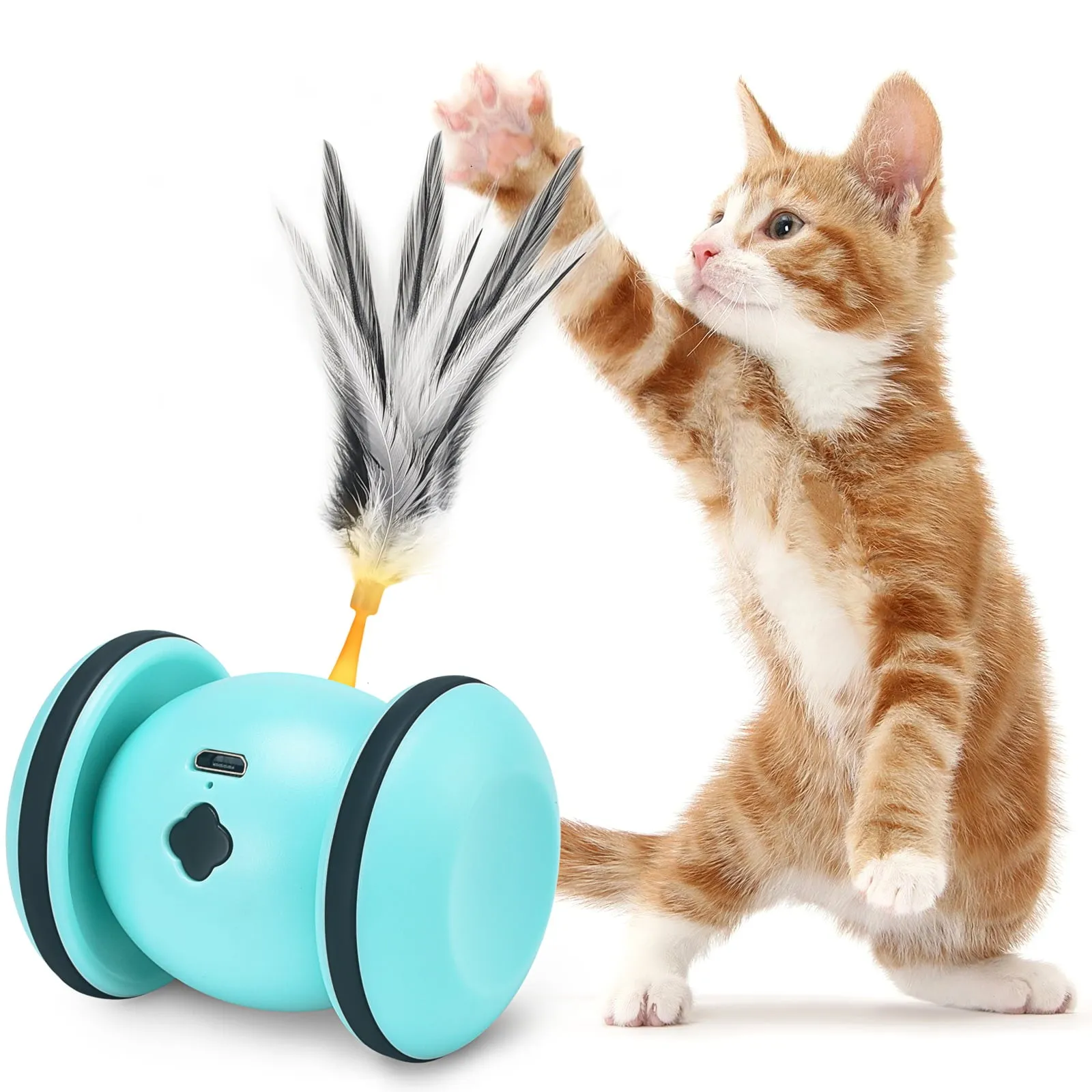 Interactive Cat Toys for Indoor Cat with LED Lights