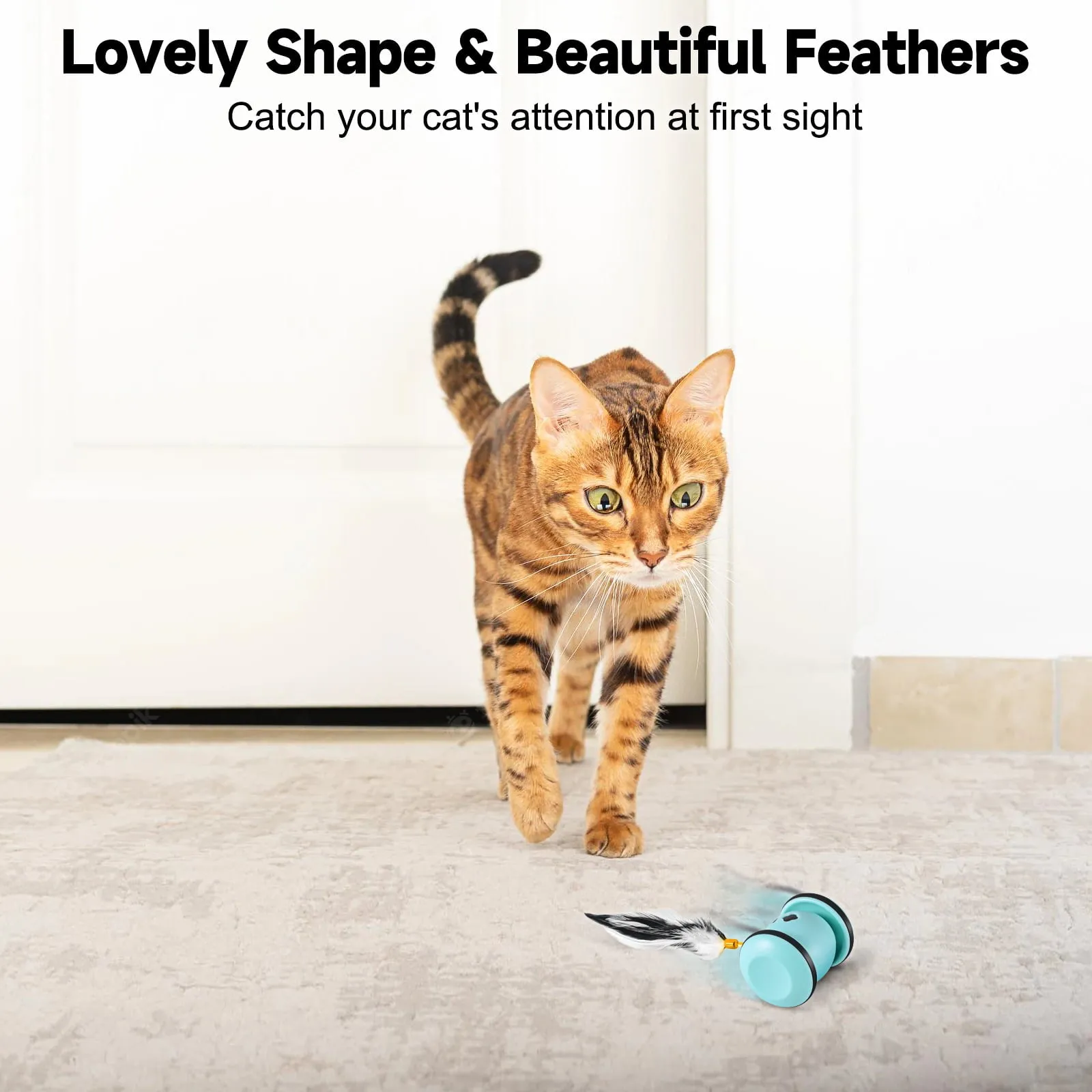Interactive Cat Toys for Indoor Cat with LED Lights