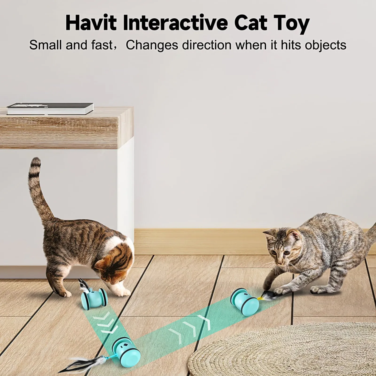 Interactive Cat Toys for Indoor Cat with LED Lights