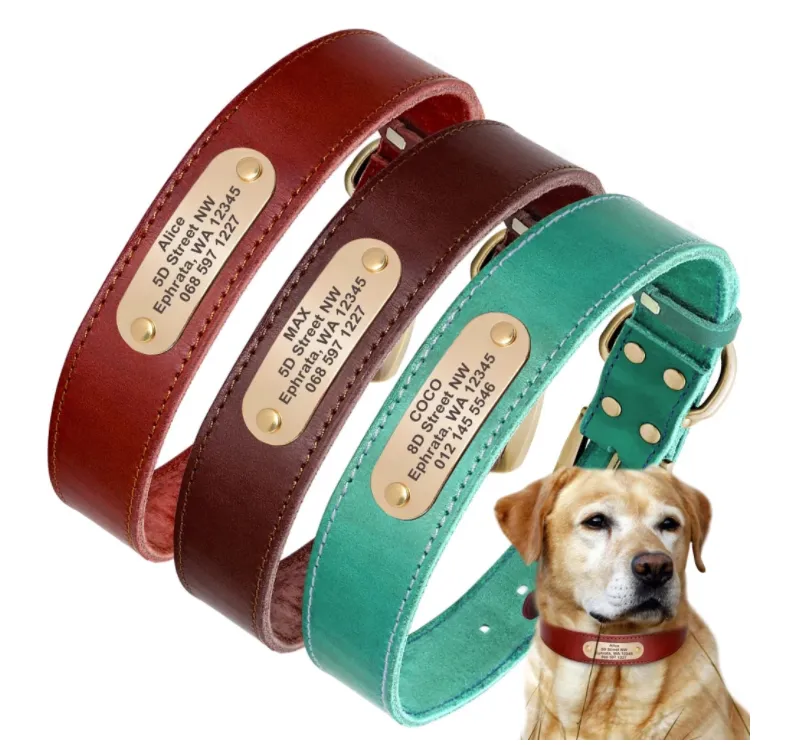 Leather Dog Collar Free Engraving Personalized Leather Collar