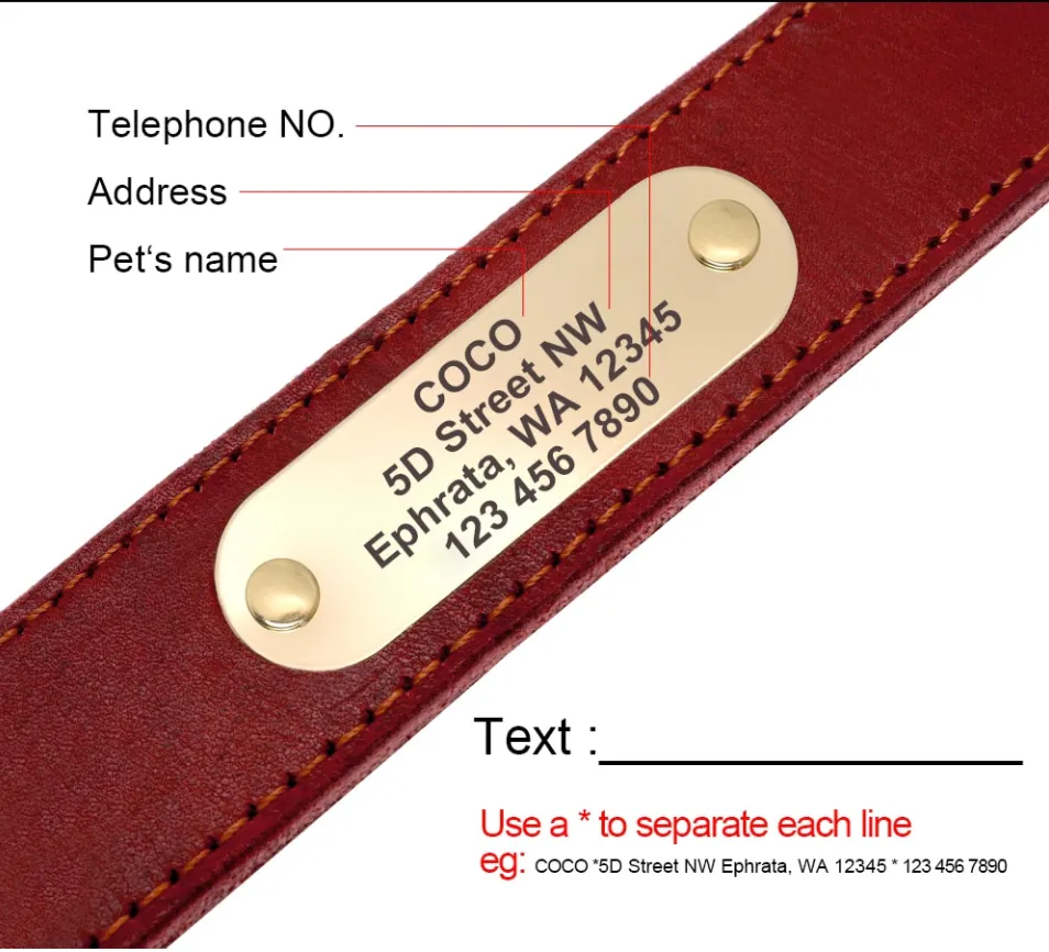 Leather Dog Collar Free Engraving Personalized Leather Collar