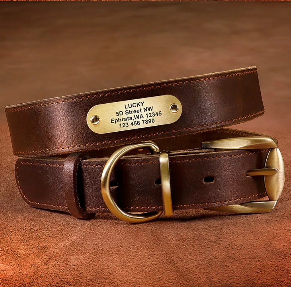 Leather Dog Collar Free Engraving Personalized Leather Collar