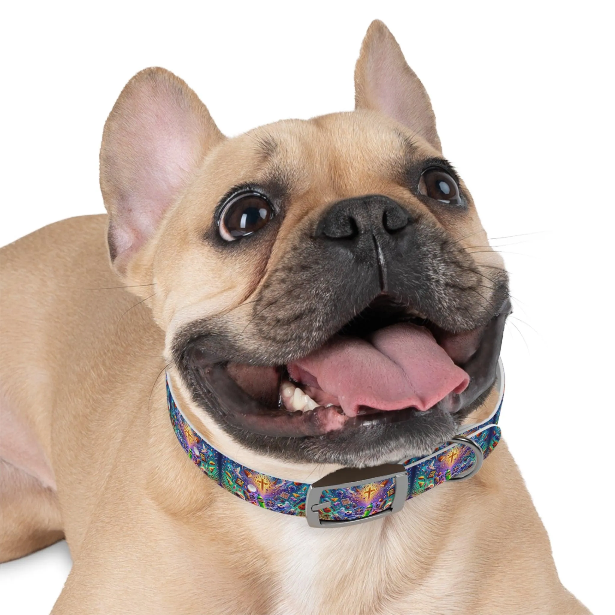 Logans Memory Dog Collar