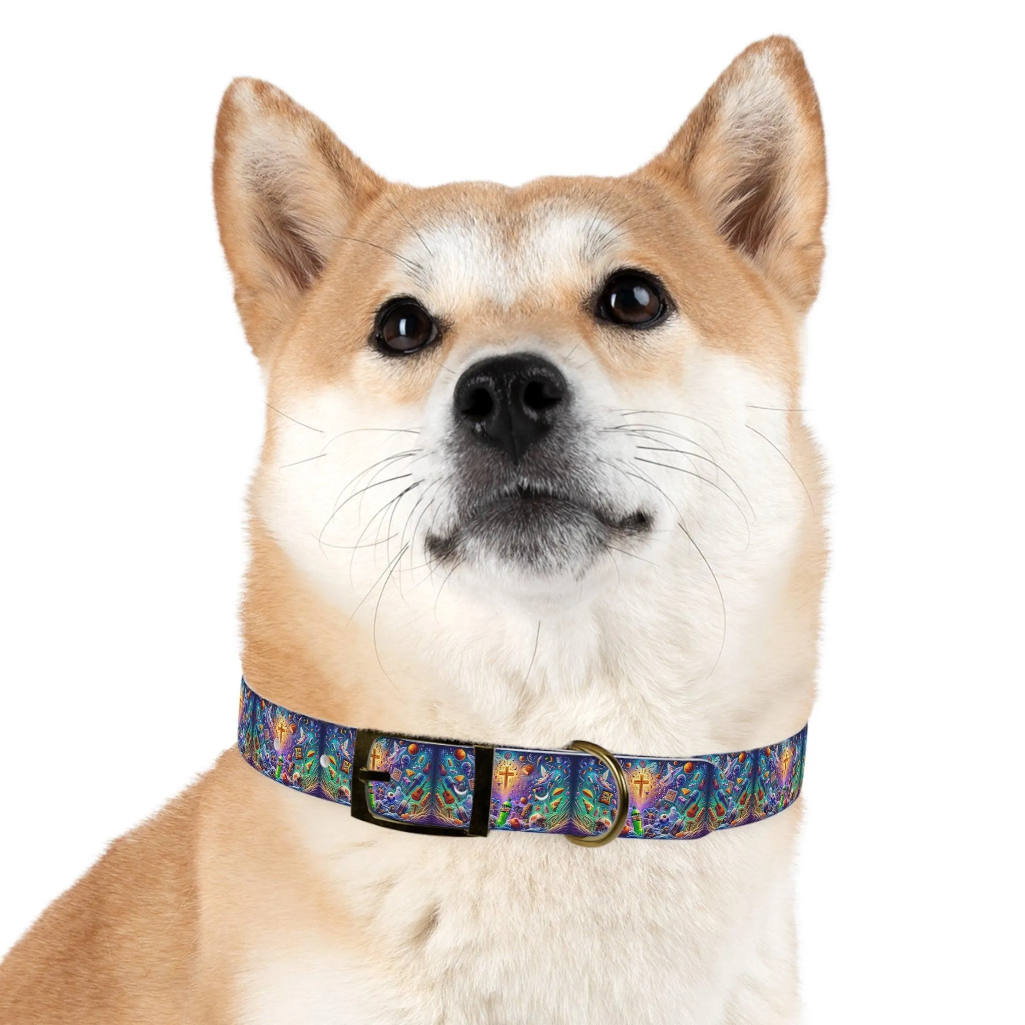 Logans Memory Dog Collar