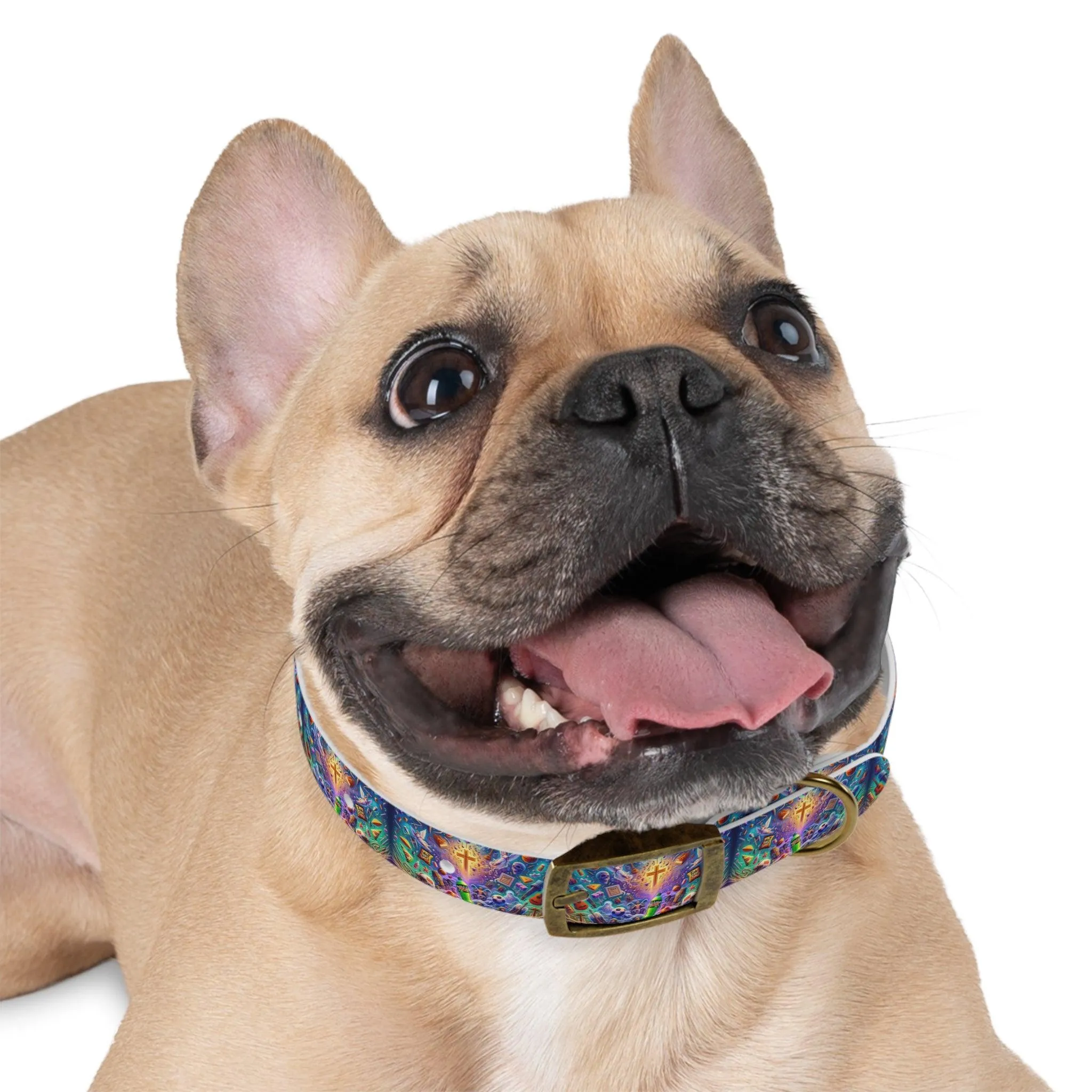 Logans Memory Dog Collar