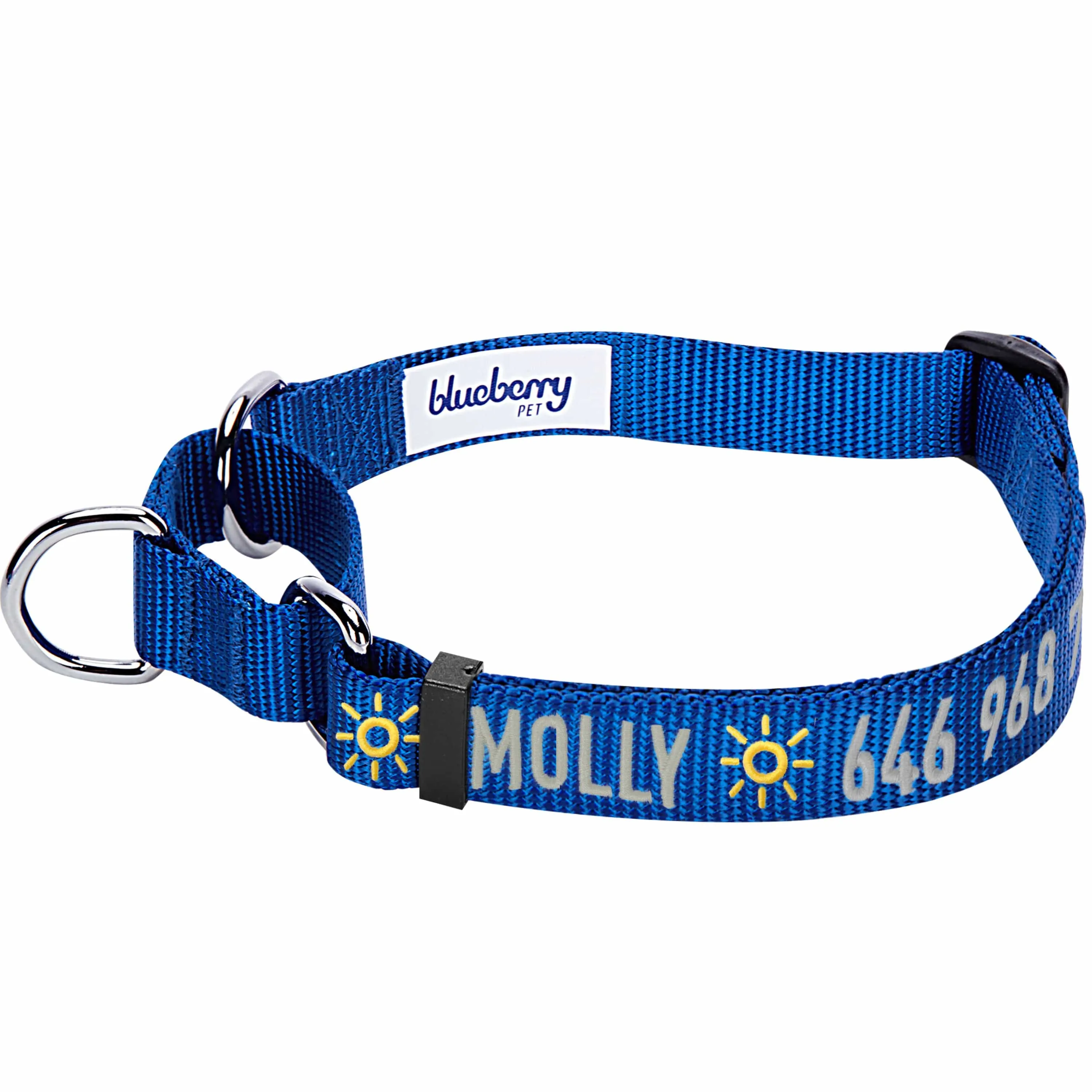 Nylon Personalized Martingale Safety Training Dog Collar Blue for Puppy S M L Boy Girl