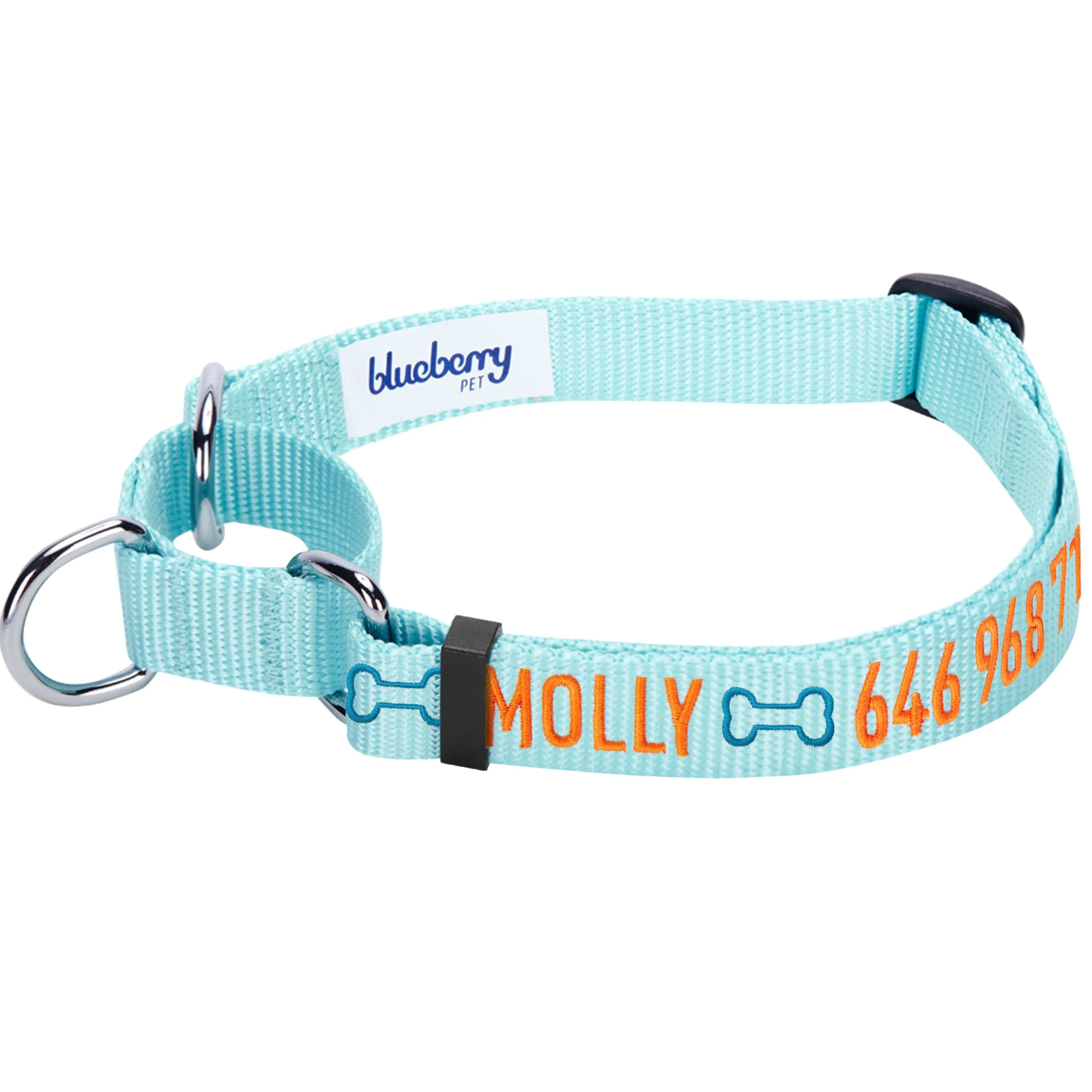 Nylon Personalized Martingale Safety Training Dog Collar Blue for Puppy S M L Boy Girl