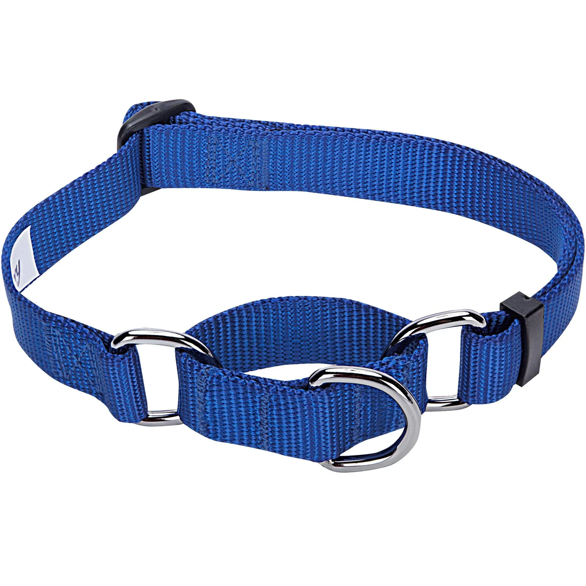 Nylon Personalized Martingale Safety Training Dog Collar Blue for Puppy S M L Boy Girl